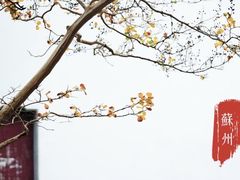 -苏州文庙(姑苏区)