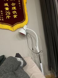 -歌曼丽草本减重