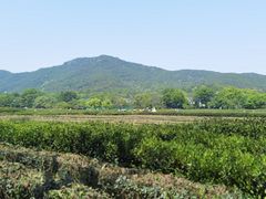 -西院1号(龙井店)
