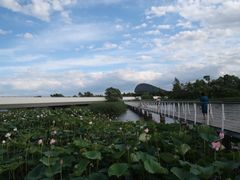 -哈尔滨音乐公园