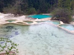 -黄龙山原始森林景区