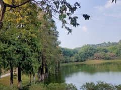 -东莞植物园