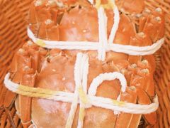 -蟹村草堂·苏式园林人文农家·大闸蟹