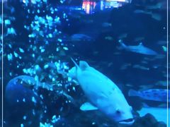 -成都浩海立方海洋公园