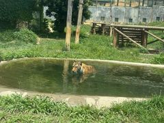 -泉州海丝野生动物世界