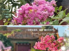 -杭州城北体育公园