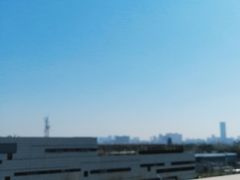 -苏州金科大酒店