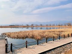 -野鸭湖国家湿地公园