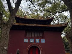 -普陀山风景名胜区-法雨禅寺
