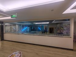 -维倪月子会所(独栋庭院·南海店)