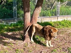 -上海野生动物园