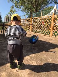 -萌宠亲子动物乐园(槐房万达店)