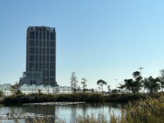 -鹦鹉洲湿地公园