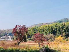 -塔川景区
