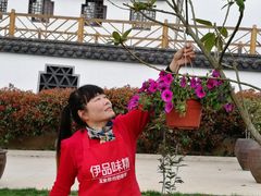 工作人员在浇花中～-龙湖东院农庄(乡间小路店)