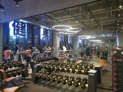 -GYMCARE VIVA(金开店)
