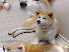 -YCHL Studios健身工作室(市二宫店)