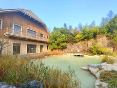 -上海吴淞炮台湾国家湿地公园