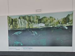 -蒙特利尔皮埃尔·埃利奥特·特鲁多国际机场