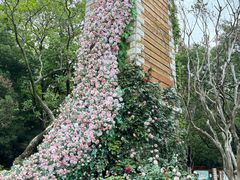 -MAP CHA普洱茶馆(翠湖店)