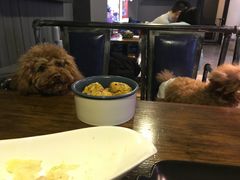 -百好乐宠物友好餐厅(朝外大街店)