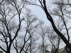 -南锣鼓巷