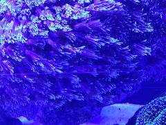 -海合安武汉极地海洋公园