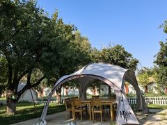 -梨苑林卡金陵山水酒店