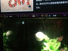 -顺德南宏海立方海洋公园