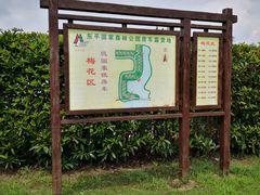 -东平国家森林公园