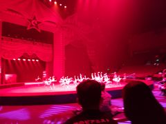 -珠海横琴长隆《卡卡虎奇遇记》