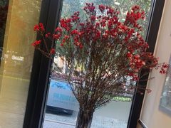 -瑞派康怡24h宠物医院·犬猫医疗中心·微创绝育(瑞景分院)