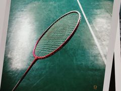 -东丽温泉羽毛球