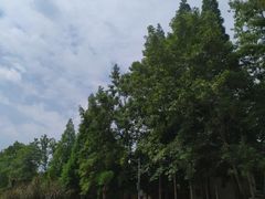 -夏河溪乡野公园