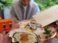 -斯普汇生蚝牛排馆(中骏世界城店)