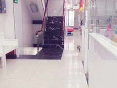 -瑞鹏宠物医院华南总院·夜诊·心脏科·骨科