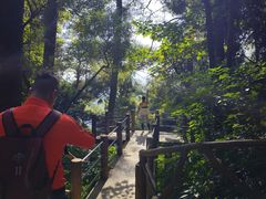 -三门江国家森林公园