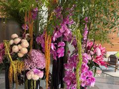 -浅深Cheersum(曹杨店)