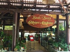 -卷心菜和避孕套餐厅(Pattaya)