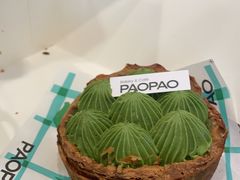 -PAOPAO Bakery&Café(港汇店)