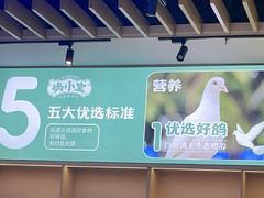 -鸽小宝(深圳首店)