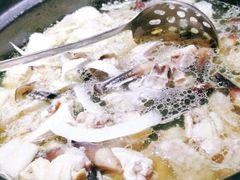 -探窝·竹笙椰子鸡(杨箕店)