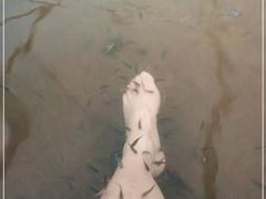 -华侨城阳宗海海景温泉