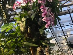 -北京植物园-展览温室