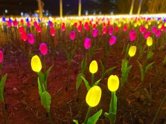 -怡海公园(桂城街道)