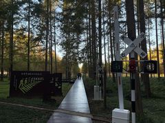 -黄海国家森林公园