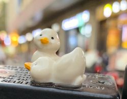 点击看大图 -薇兰专业脱毛连锁机构