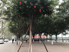 -金牛体育中心(金牛体育馆店)