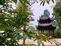 -都江堰玫瑰花溪谷