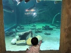 -华夏文旅海洋公园